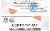 Сертификат 73 НПК БГТУ Калинкина